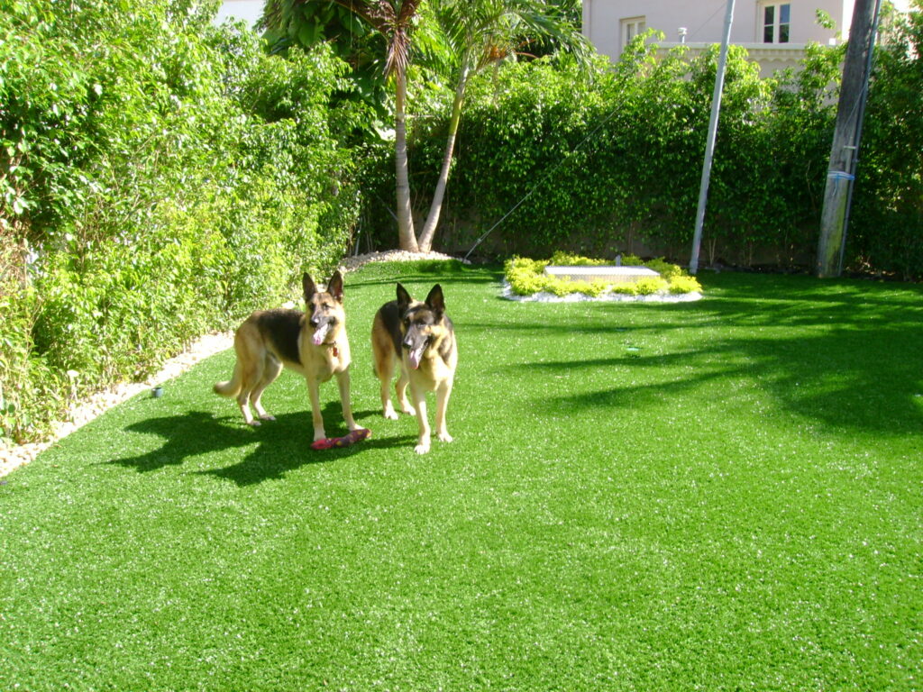 Pet-Friendly Perfection: Premium Grass Blades’ Artificial Turf Solutions