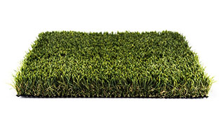 Evergreen synthetic turf