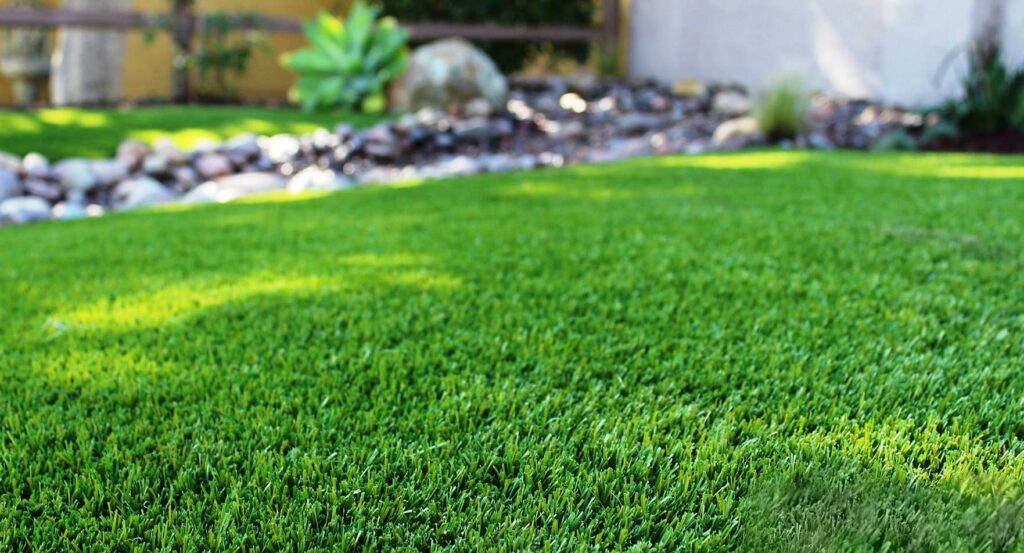 Everglades Turf: The Uncontested King of Premium Grass Blades