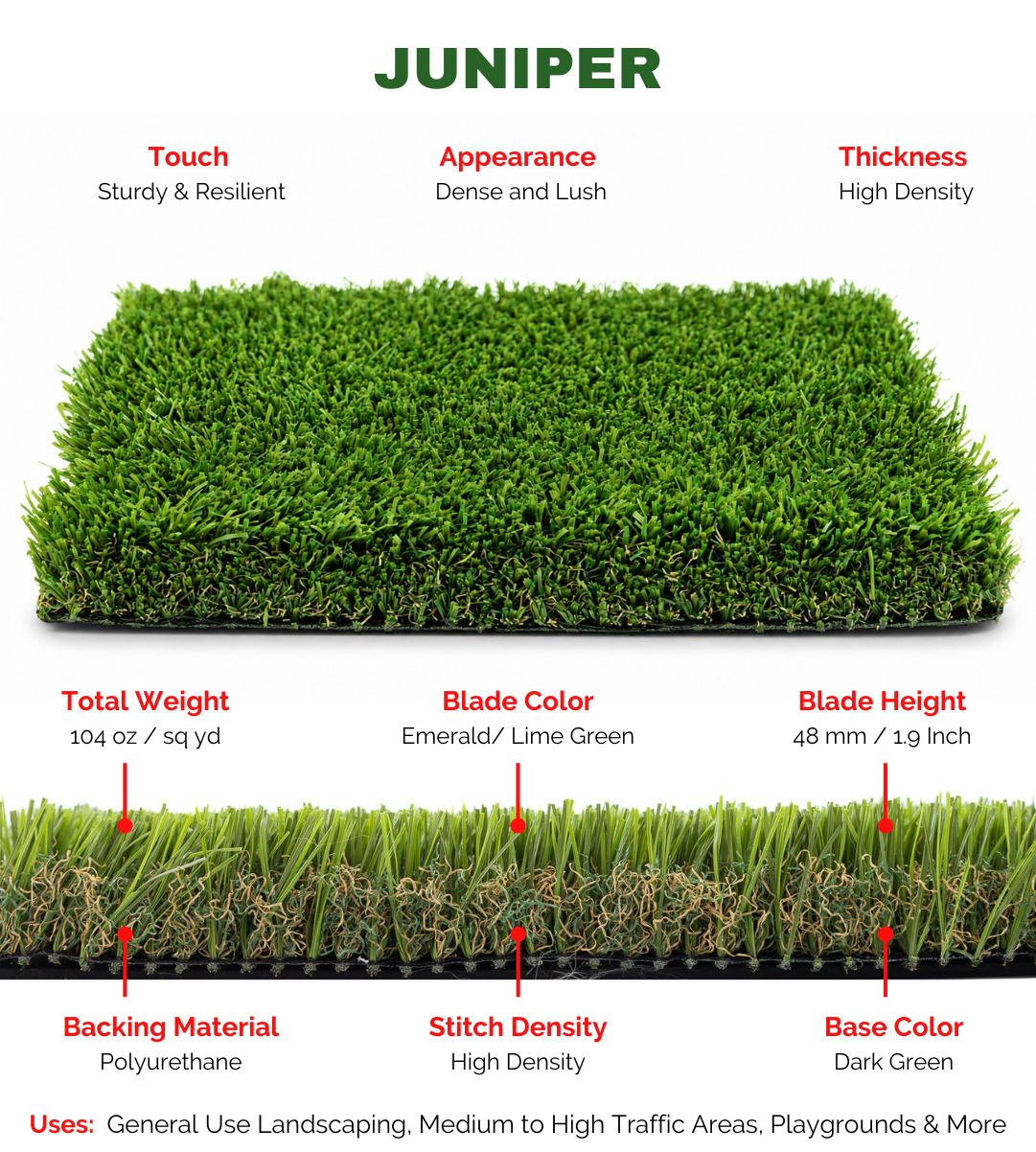 JUNIPER - Image 2