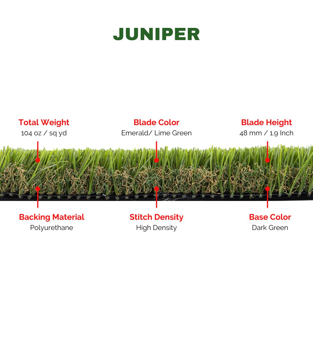 JUNIPER - Image 3