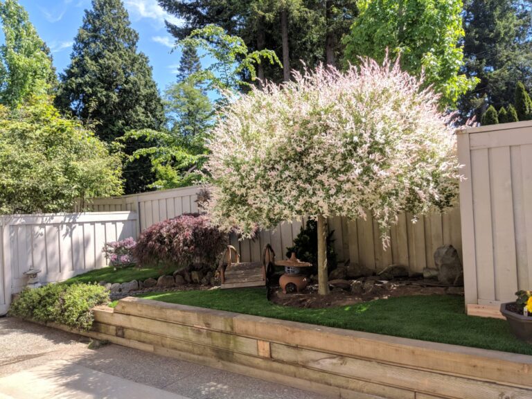 Artificial grass with a tree and plants placed on top of it