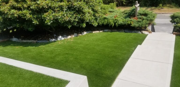 Synthetic grass lawn bordered by concrete walkway and garden shrubs.