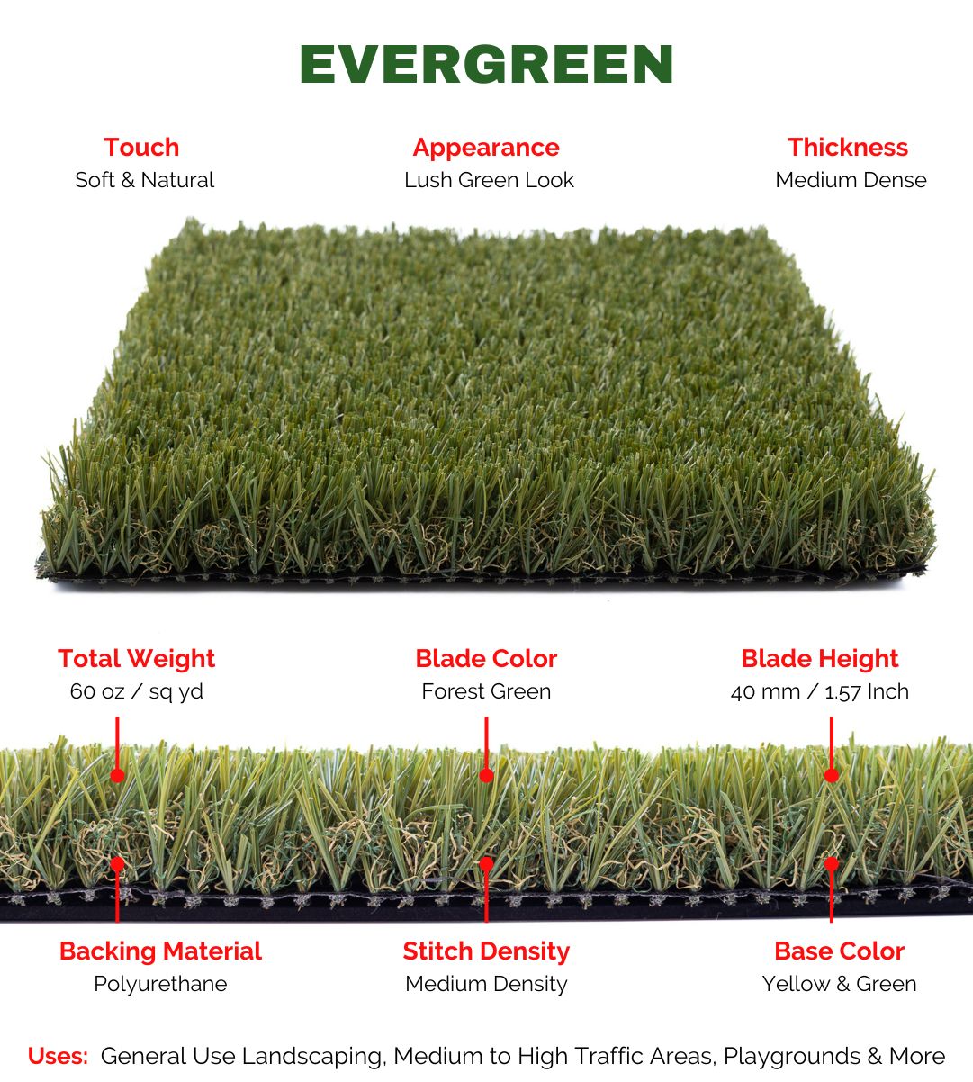 EVERGREEN - Image 4