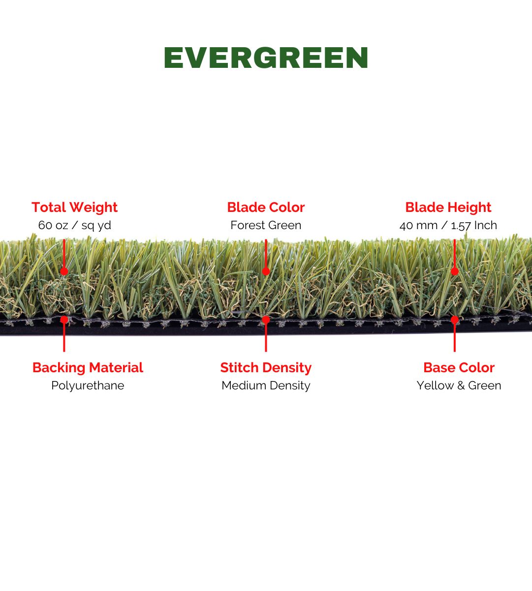EVERGREEN - Image 5