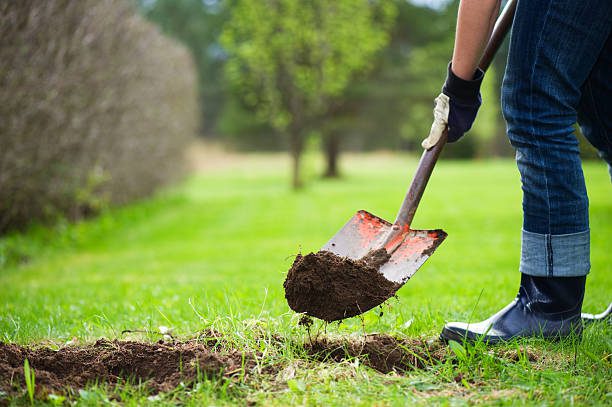 Gardener digging soil with a shovel in a grassy yard.