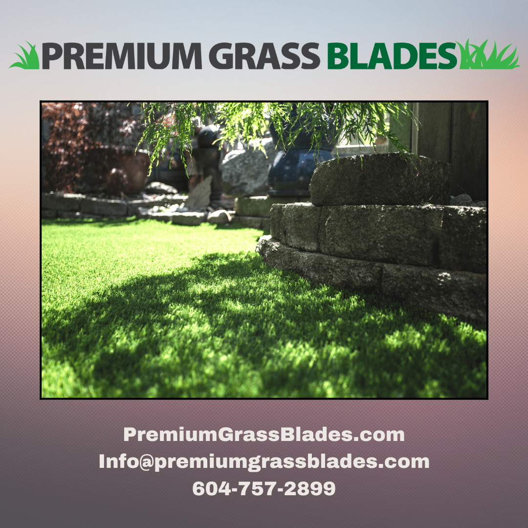 Top 10 Advantages of Artificial Grass in Your Backyard