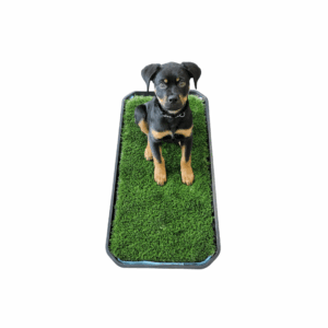 Dog potty & mat