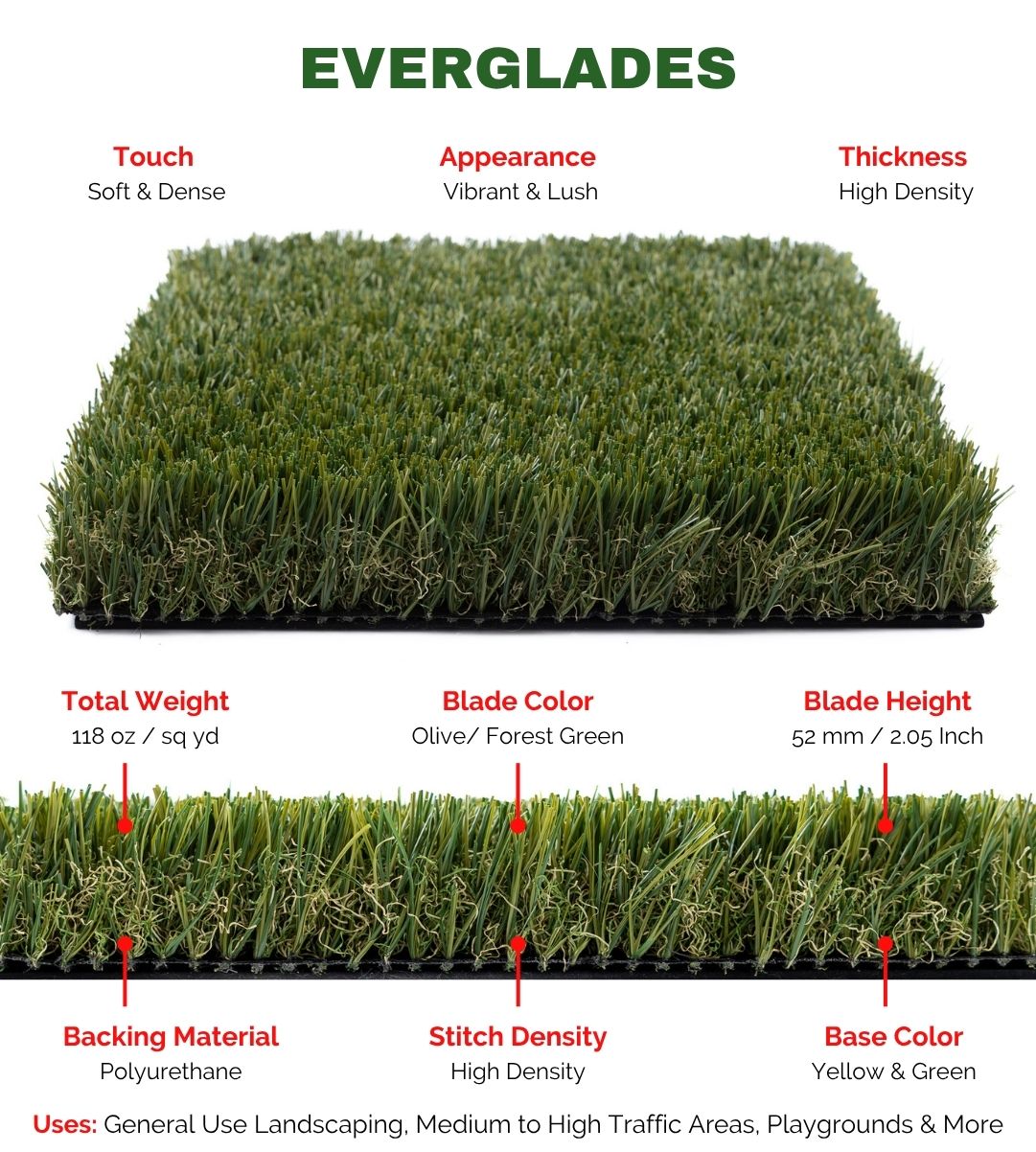 Everglades - Image 2