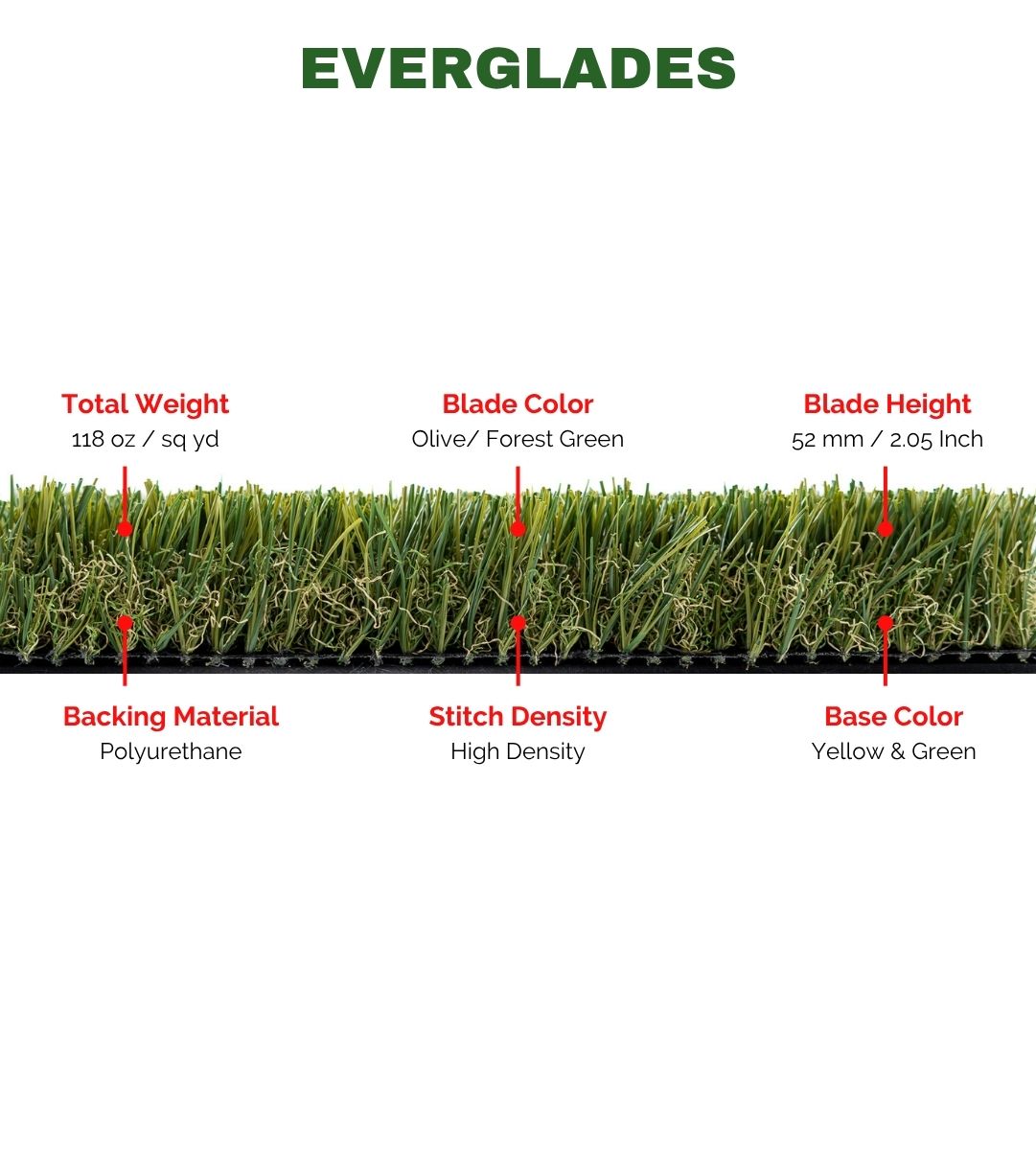 Everglades - Image 3