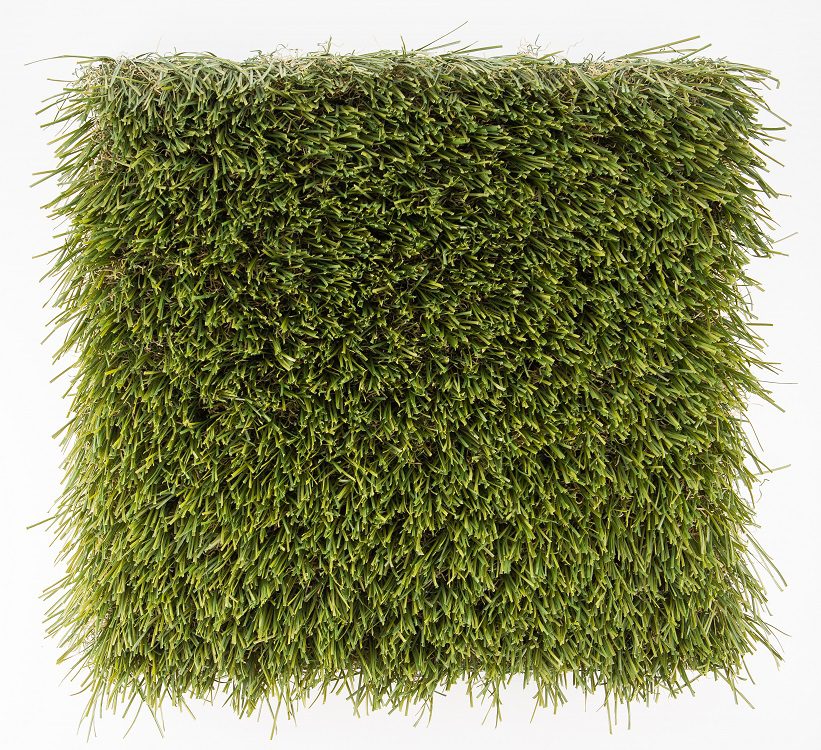 SOFT GRASS 33 -