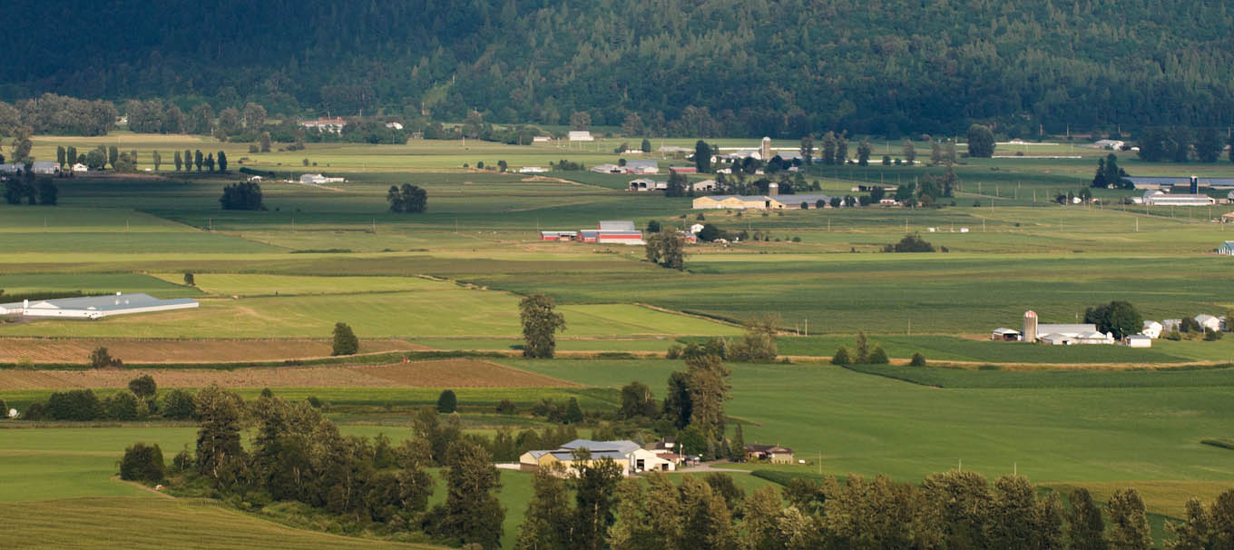 Artificial Turf in The Fraser Valley
