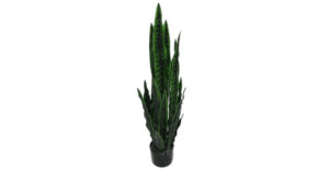 24 Inch Artificial Snake Plant