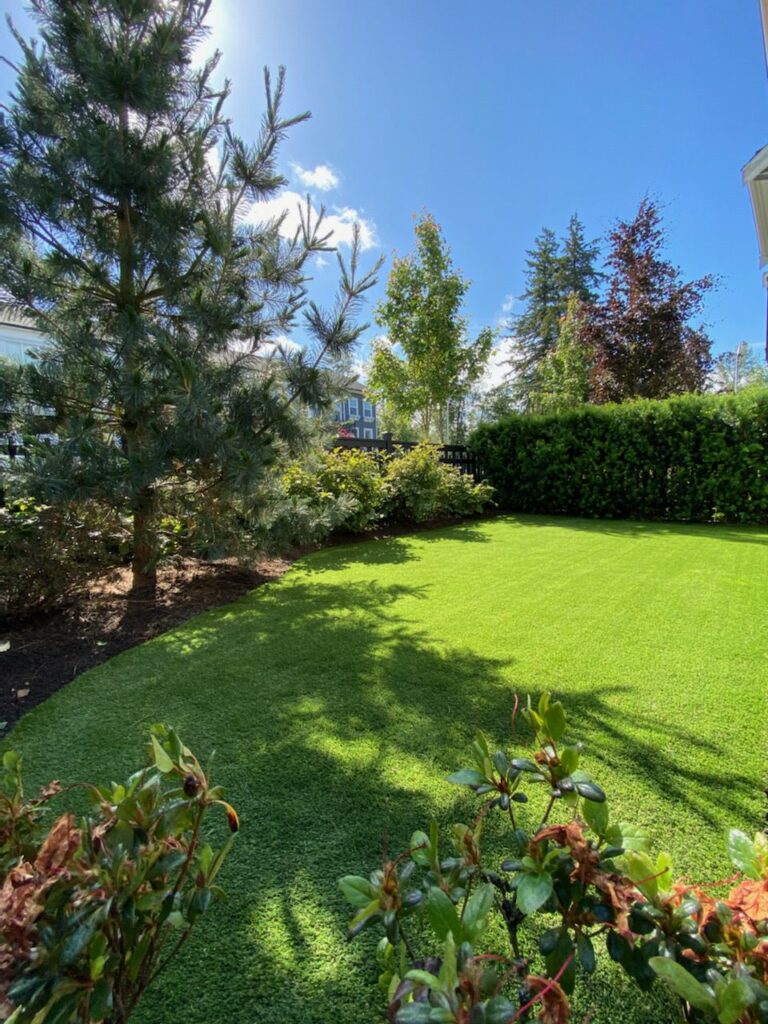 Coquitlam’s Green Revolution: How To Choose The Best Artificial Turf For Your Home