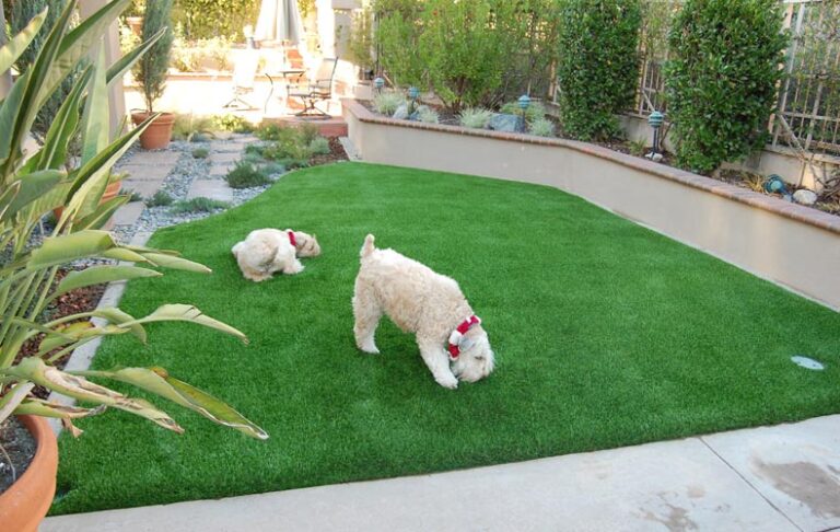 Benefits Of Premium Grass Blades’ Artificial Turf For Pet Owners