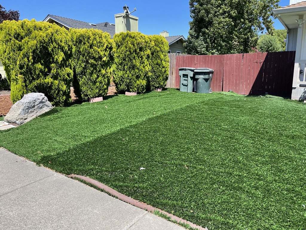 Artificial Turf