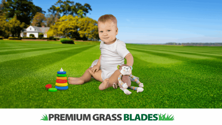 Safe and Fun: Artificial Turf Solutions for Children’s Play Areas