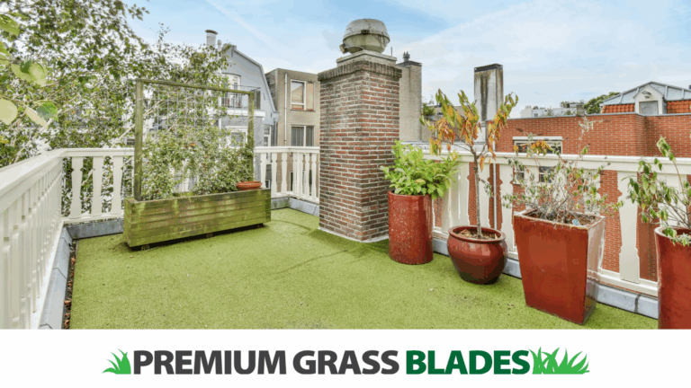 Landscaping Redefined: The Role of Premium Grass Blades in Shaping Modern Aesthetics