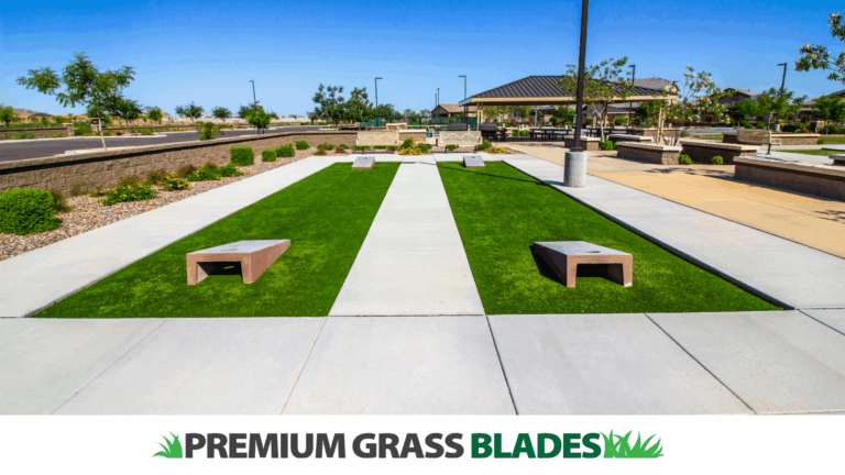 The Role of Artificial Turf in Modern Architecture