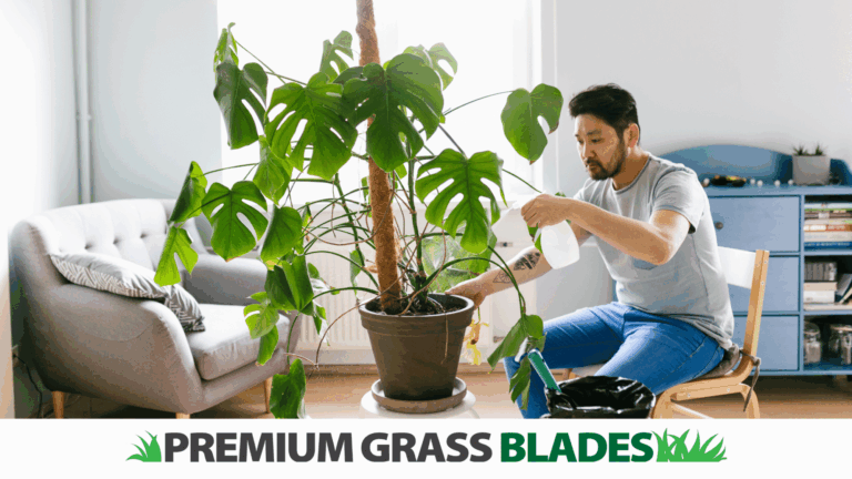 Caring for Your Artificial Plants: Tips for Long-Lasting Beauty