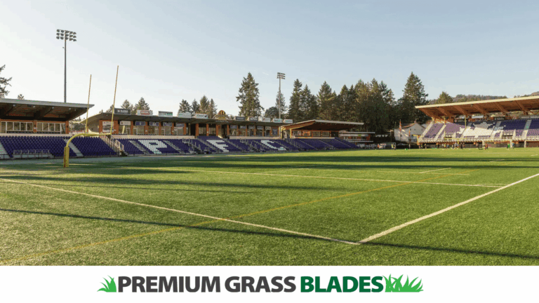 Understanding Artificial Turf Regulations in Langford, BC: What Homeowners Need to Know