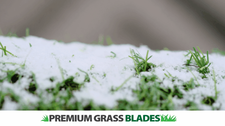Preparing Your Artificial Grass for Winter in Langford, BC