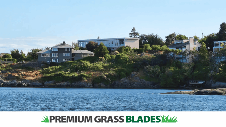 Adapting to Coastal Erosion: The Role of Artificial Turf in Oak Bay’s McNeill Bay Project