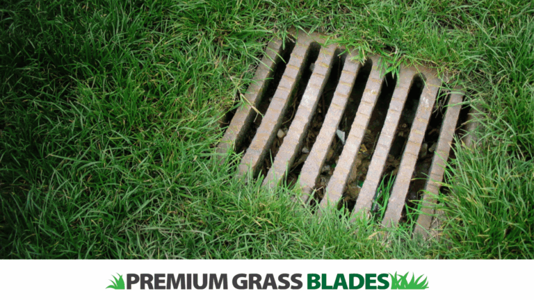 The Ultimate Guide to Artificial Turf Drainage in Sidney’s Coastal Climate