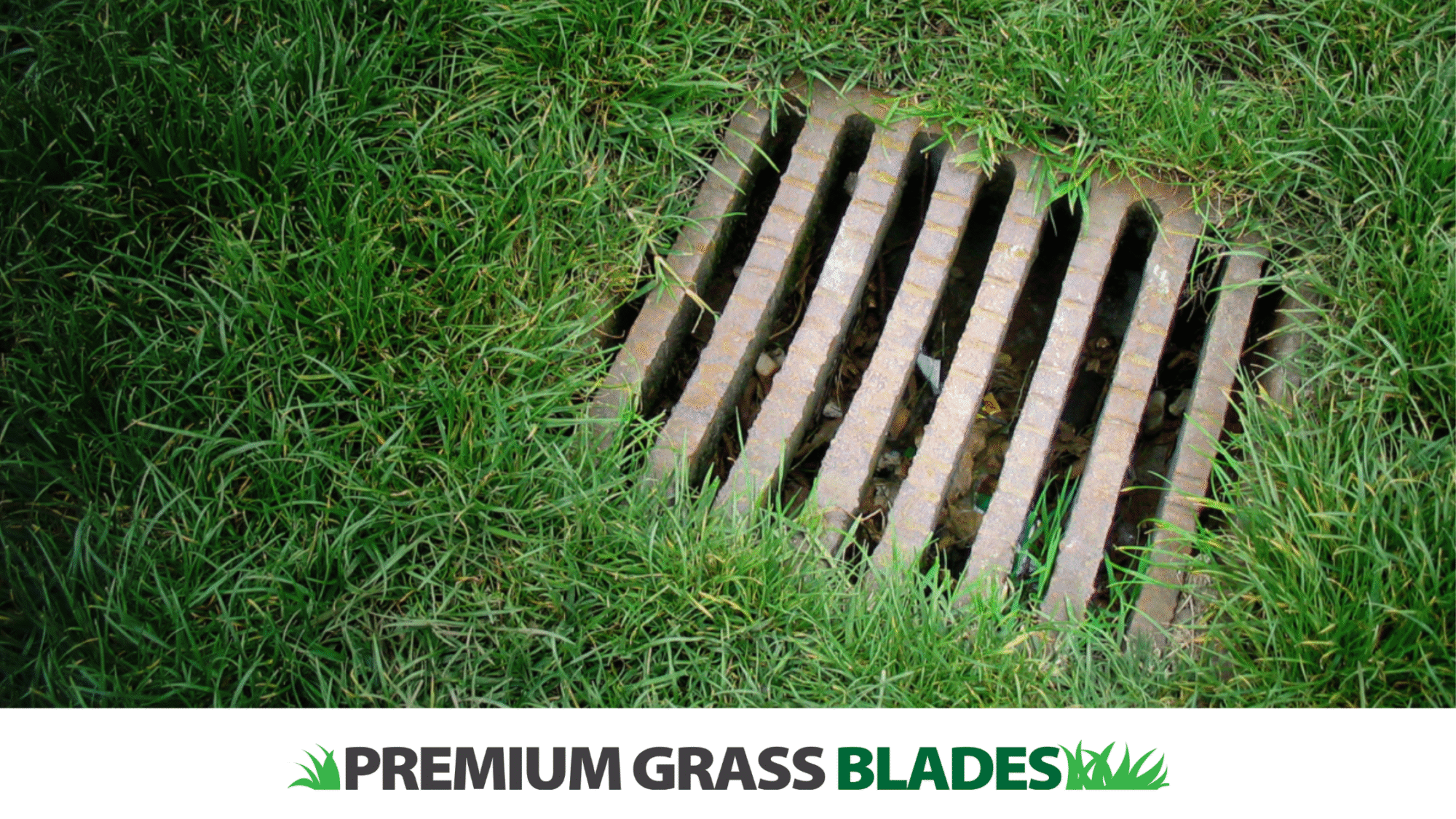 The Ultimate Guide to Artificial Turf Drainage in Sidney’s Coastal Climate