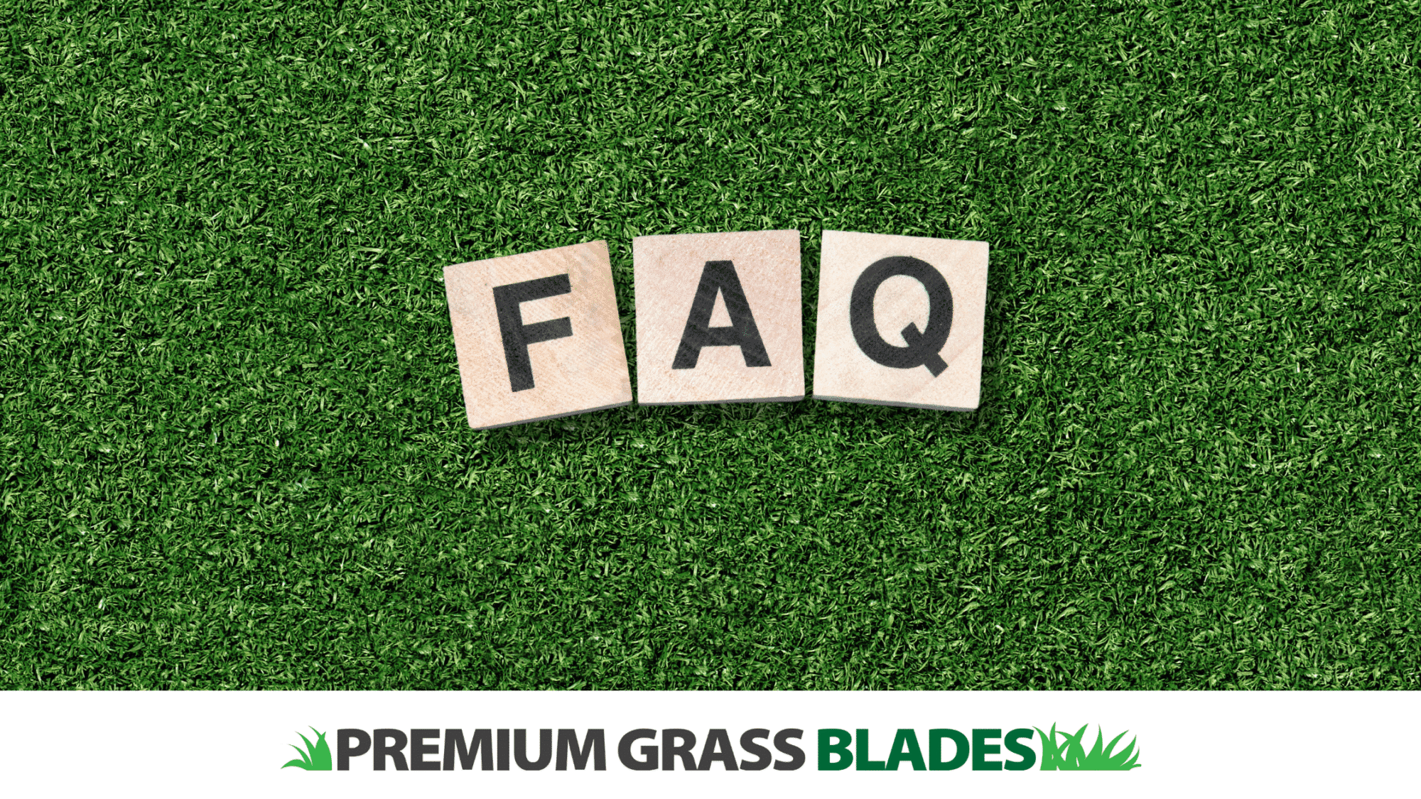 12 FAQs About Artificial Grass in Qualicum Beach: Everything You Need to Know