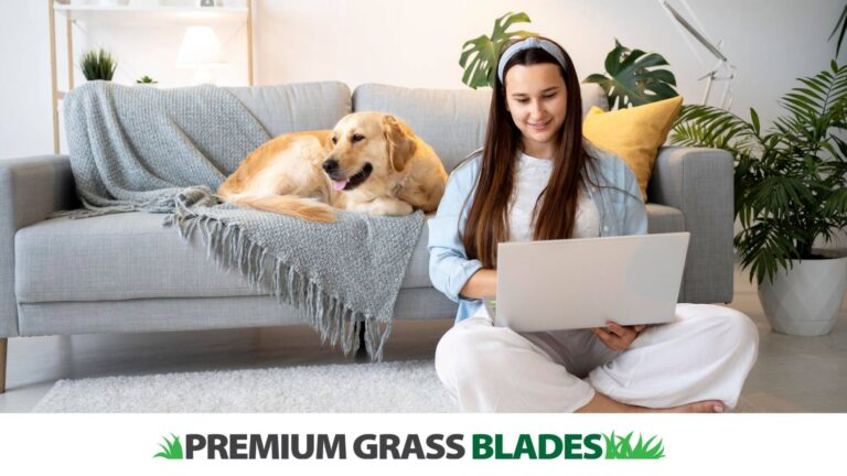 Successfully Preparing Your Home for Sale and Downsizing with Your Pet