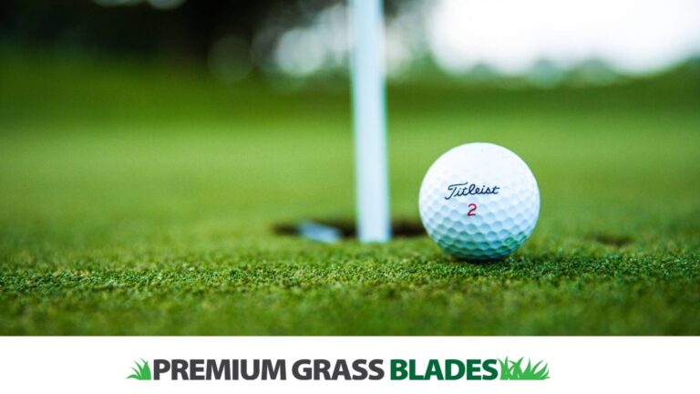 How to Choose the Best Putting Green Turf for Your Home Golf Setup
