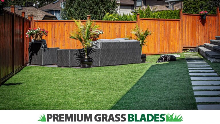 Survey Insights: What Metro Vancouver Homeowners Value Most in Artificial Turf