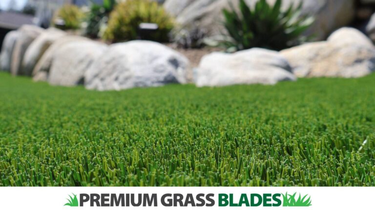 Cooler Lawns, Happier Homes: Discover the Heat-Resistant Power of Premium Grass Blades