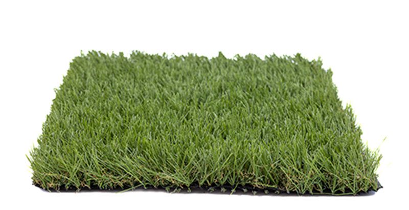 Soft Grass
