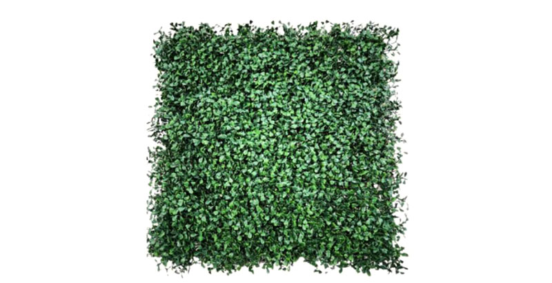 Artificial Plants & Trees