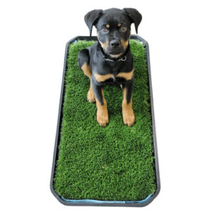 Dog potty & mat