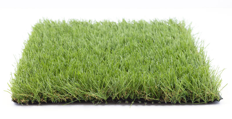 Soft Grass