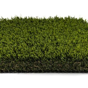 Everglades Roll End (Batch 6) Roll Size 3.5x25 $175 (Reg $515.38)