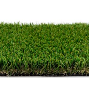Evergreen Roll End (Batch OOO1) Roll Size 7.5x10 $225 (Reg $321.75)