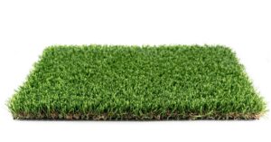 Jade (Discontinued) Small Remnant (Batch OO5) Roll Size 10X6 $120 (Reg $263.4)