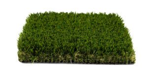 Premium-Grass-Blades-Evergreen-elite