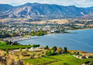 Artificial Grass in Penticton