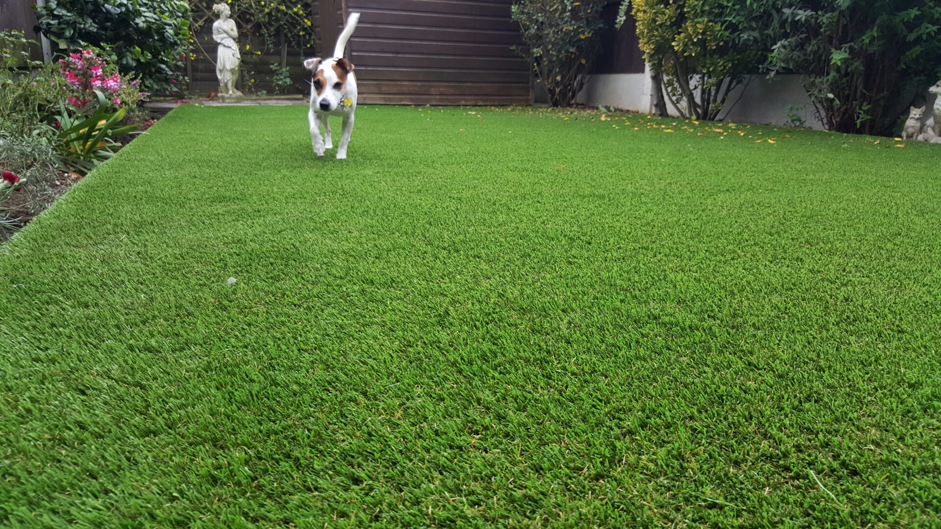 Benefits Of Premium Grass Blades’ Artificial Turf For Pet Owners