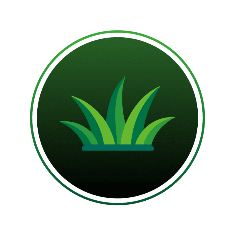 Custom Website Tiles