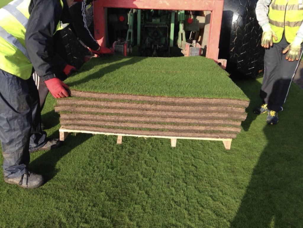 Quality And Sustainability: The Cornerstones Of Premium Grass Blades