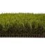 Soft Grass 33
