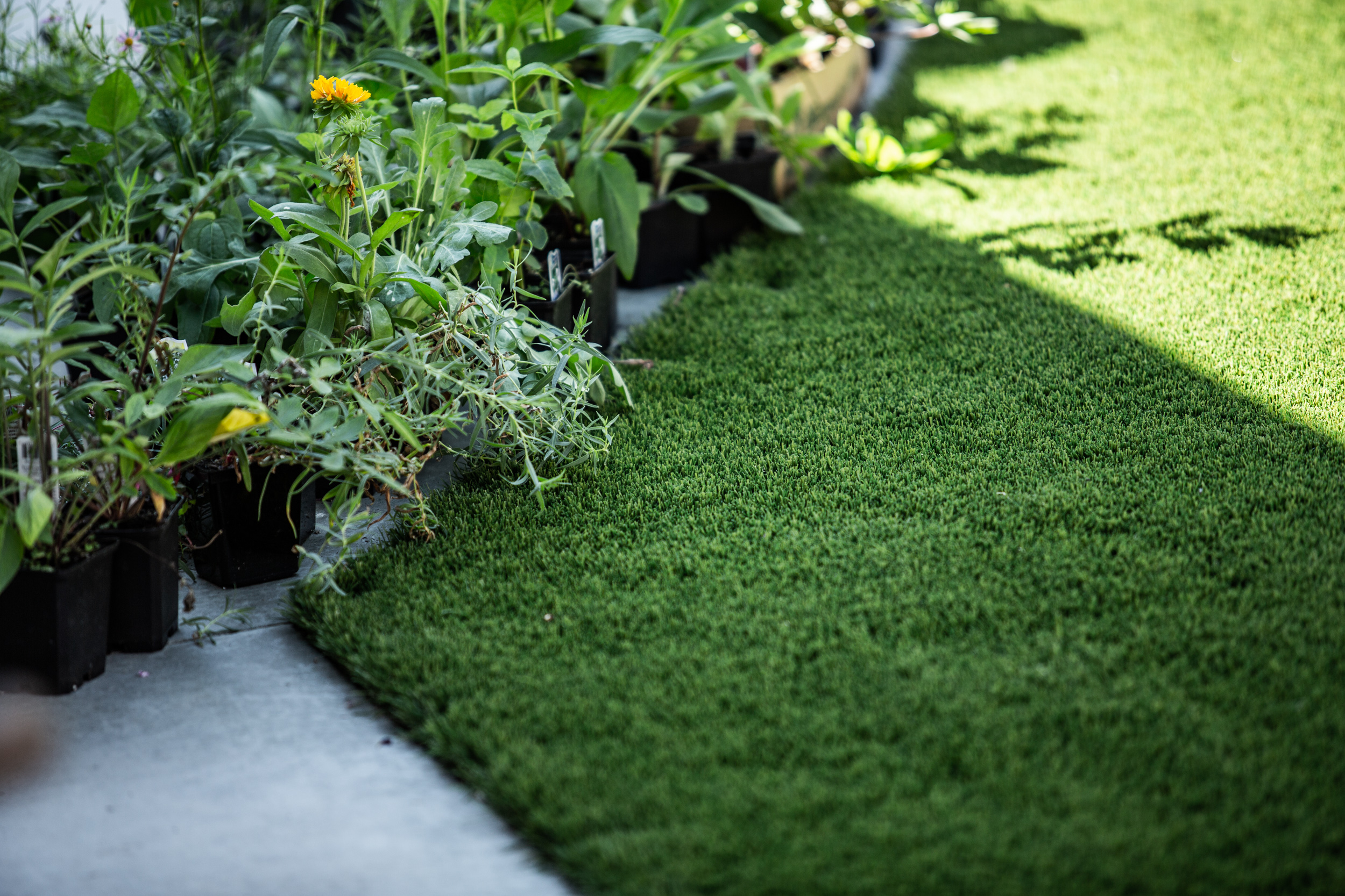 How can artificial turf help conserve water in Vancouver’s dry summers?