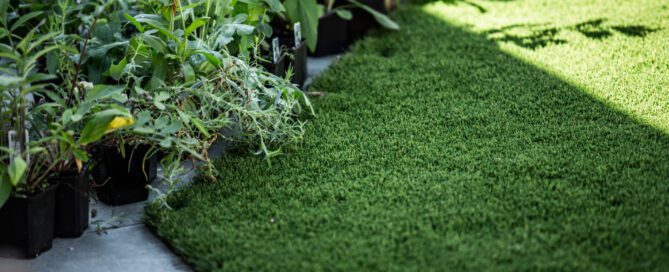 Everglades Turf: The Uncontested King of Premium Grass Blades