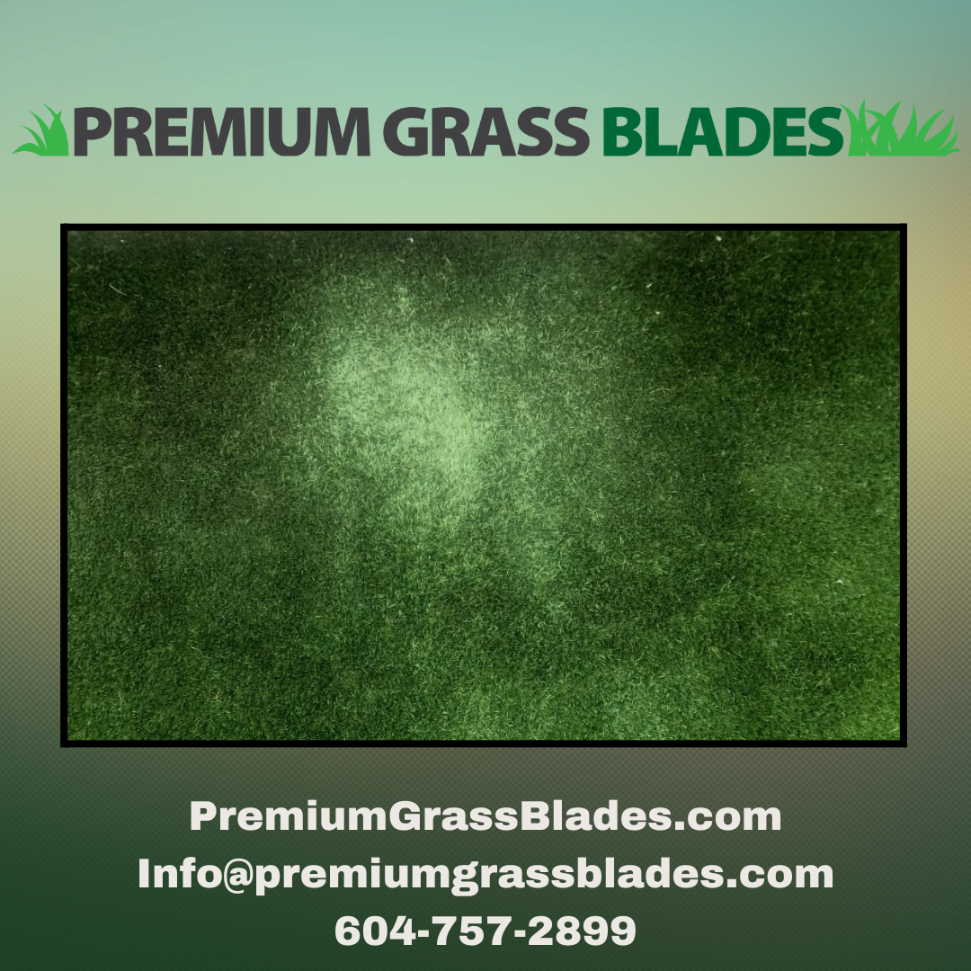 How To Revitalize Matted Turf Blades
